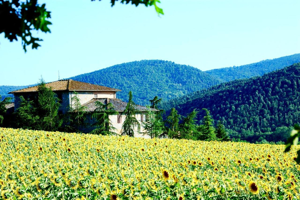 Agriturismo Montioni Sovicille Buitenkant foto